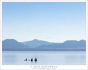 Tufa, Sky, Passing Birds