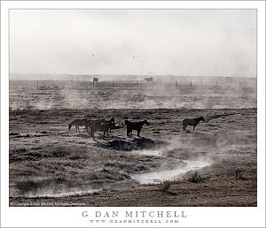 OwensValleyRanchStockFogCreek20111009