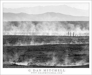 Ranch, Fence, Morning Mist