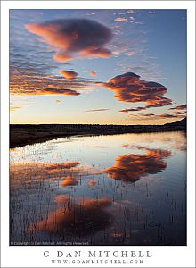 Sierra Wave Clouds Above Owens Valley, Dawn