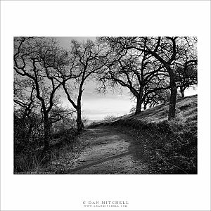 Fire Trail, Calero Hills