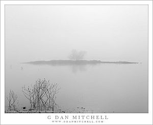 Winter Fog, Water, Island