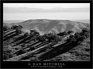 PachecoToSierraBW20080316