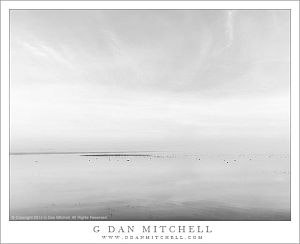 PondFogSky02BW20140214