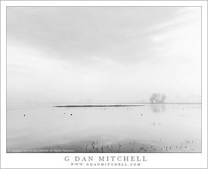 PondFogSky03BW20140214