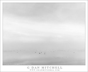 PondFogSkyBW20140214