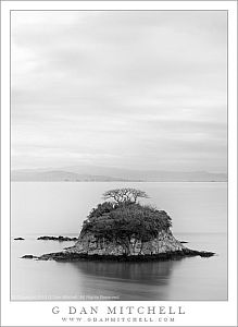 RatIslandSkyBW20130106