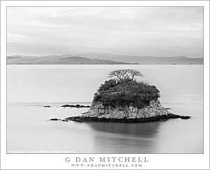 RatRockIslandHillsBW20130106