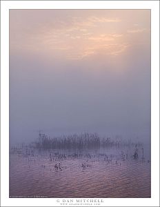 Pond, Clearing Fog