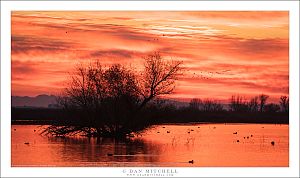 Before Sunrise, Central Valley