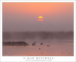 BirdsSunriseFogMNWR20131124