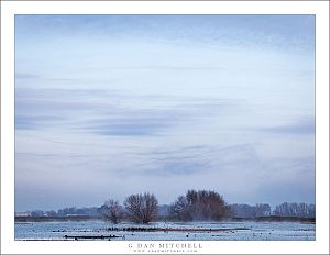 Central Valley Winter Sky