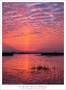 Dawn Clouds, Reflection