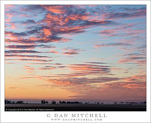 Dawn Clouds, Sacramento Valley