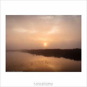 Foggy Wetlands Sunrise