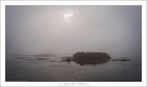 Fog and Morning Light