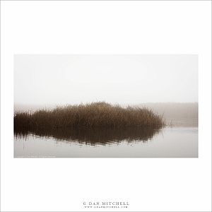 Wetland Island and Fog