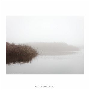 Islands, Fog