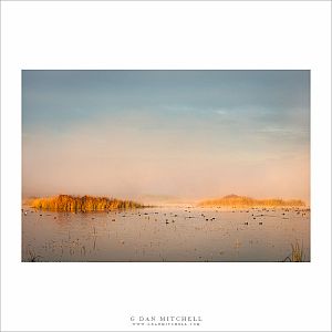 Islands, Clearing Fog