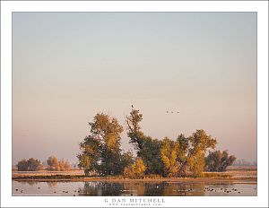 The Perch