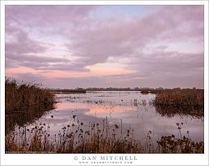 Pond And Early Morning Autumn Sky