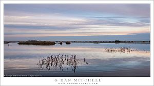 Pond, Evening Sky