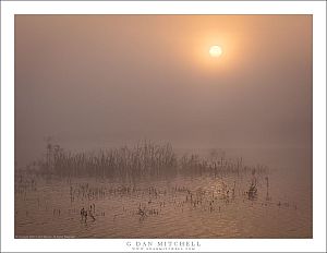 Pond, Fog, and Sun