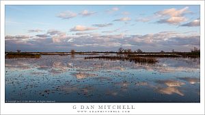 Wetlands And Sky