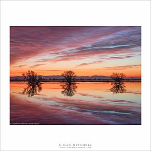 Three Trees, Sunset Clouds