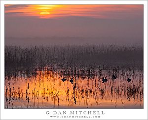 WetlandSunriseFogMNWR20140214