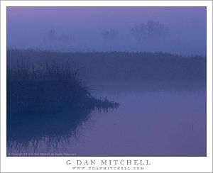 WetlandTuleFogPurpleDawnMNWR20140214