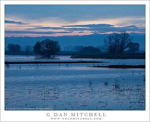 Before Dawn, Wetlands