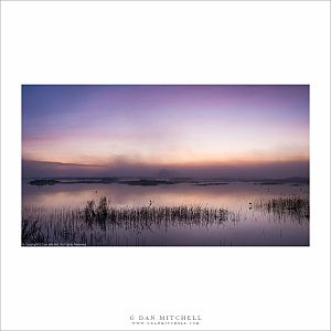Wetlands, First Light