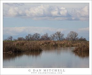 The Wetlands, Lake Winter