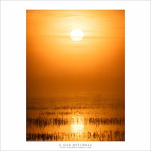 Wetlands Sunrise