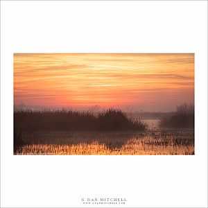 Wetlands Sunrise