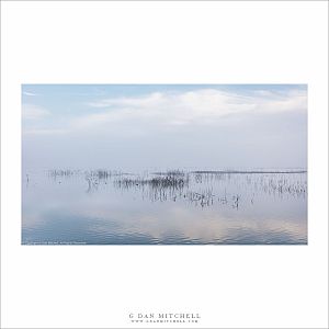 Wetlands, Winter Clouds and Fog