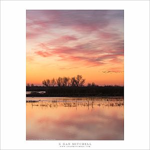 Wetlands, Winter Sky
