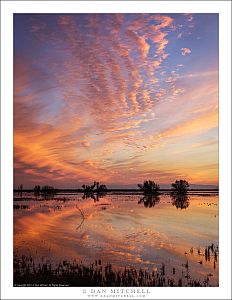 Wetlands, Winter Sunset Sky