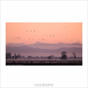 Winter Dawn, Central Valley