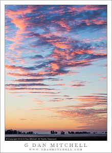 Winter Dawn, Sacramento Valley