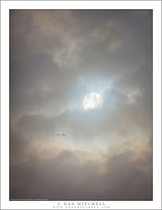 Winter Sky, Birds, Sun