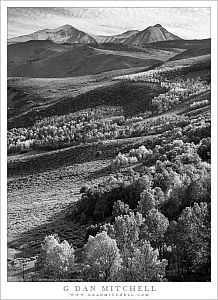 Aspen Groves, Sierra Crest