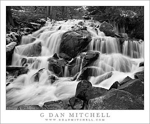 LeeViningCanyonCascadeSnowBW20081003