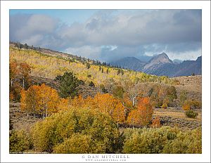 Aspen Groves, Peaks, and Clouds