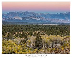 Aspens, Eastern Sierra, Earth Shadow