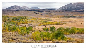 Autumn Color Panorama