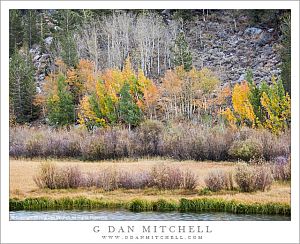 Autumn Shoreline