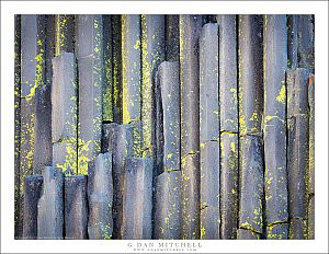 Basalt Columns and Lichen