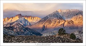 Basin Mountain, Mount Humphreys, Dawn